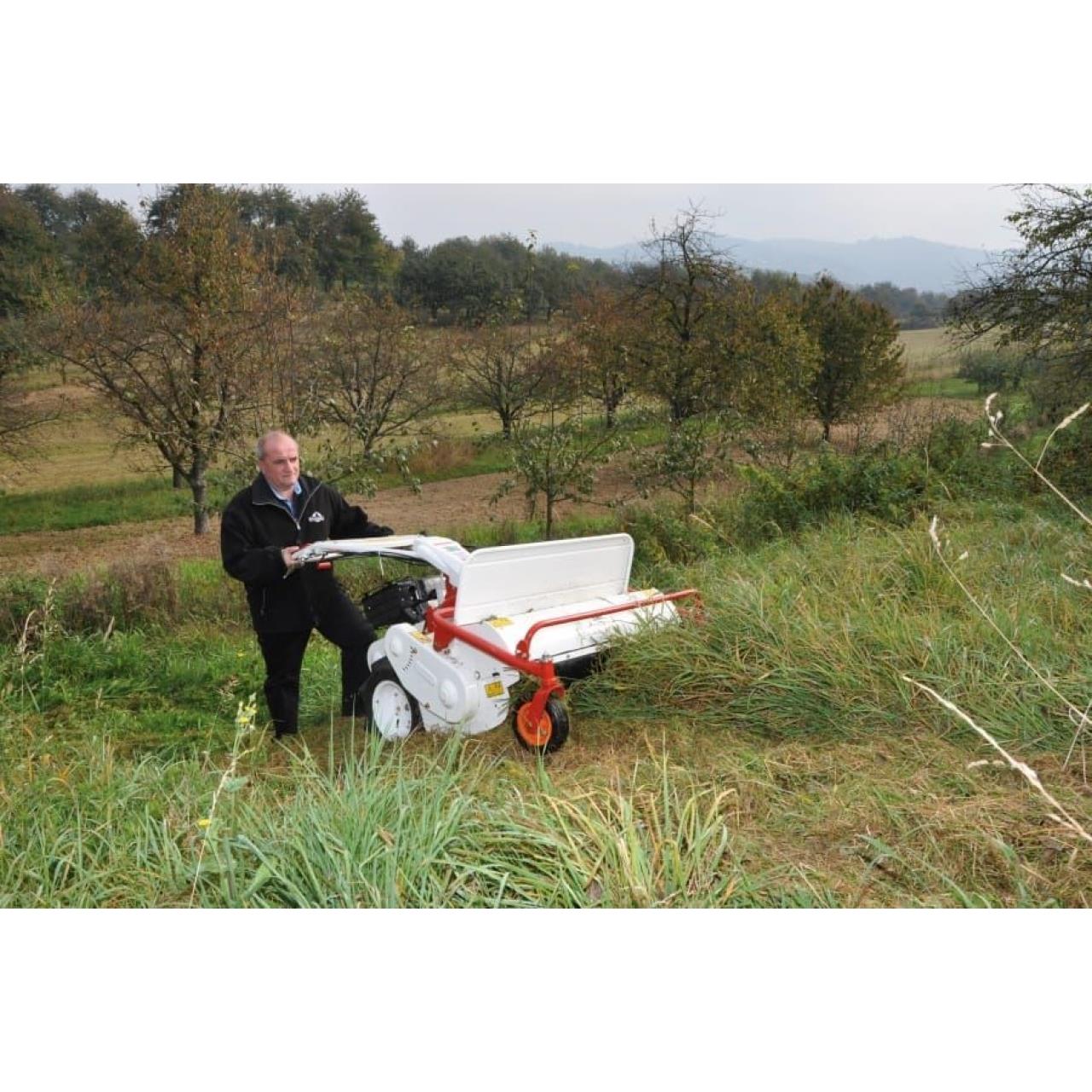 100012120 Schlegelmäher Profi-Line HR 531