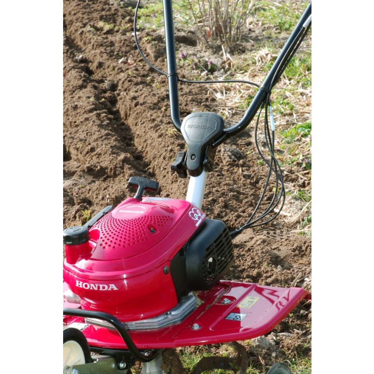 32113-3_Honda_801319