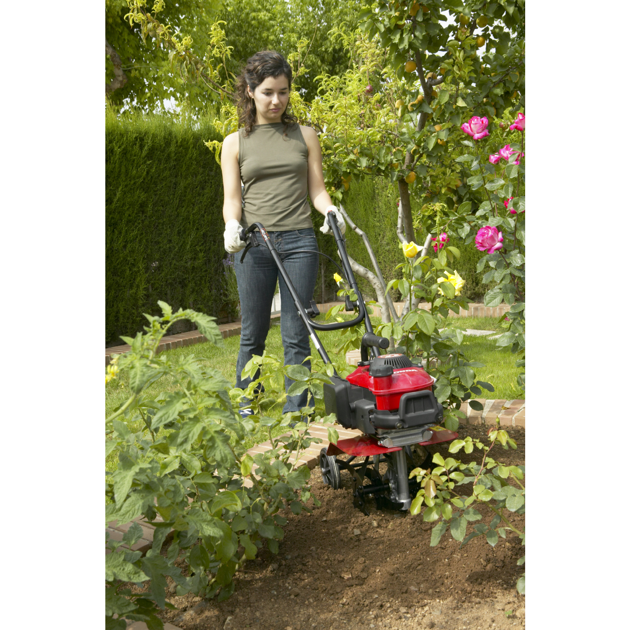 12323-1_Honda_565666